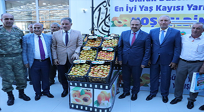 KMÜ, Ekmeklik Buğday Üretecek