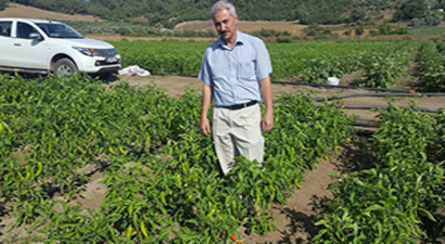 Sebze Üretimini Geliştirme Projesi`nde 24 Çiftçiye Destek Verildi