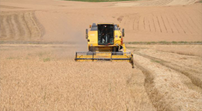 FAO Gıda Fiyat Endeksi Temmuz`da Yükselişini Sürdürdü