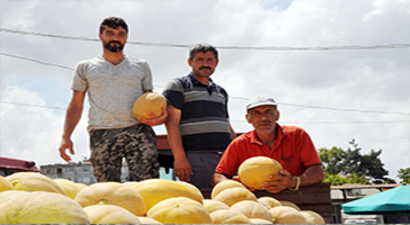 Üreticiyi Bu Seferde Nakliye Fiyatları Vurdu