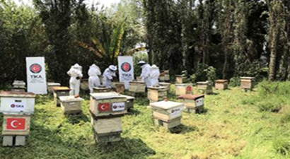 Tika`dan Meksikalı Bal Üreticilerine Koruyucu Ekipman Desteği