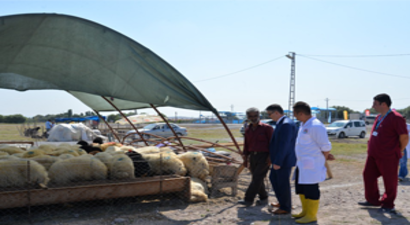 Büyükşehir`den Kurban Alacaklara Büyük Hizmet