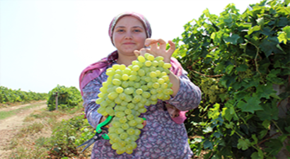 5 Lira`nın Üzerinde Fiyat Beklentisi Var