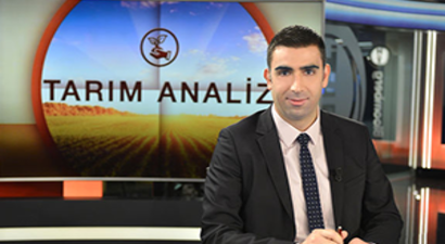 Şekerde Dengeler Özelleştirme İle Değişecek Mi?