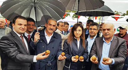 Yalova`da Kivi Festivali