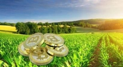 Bitcoin ile Tarım Yapılır mı ?