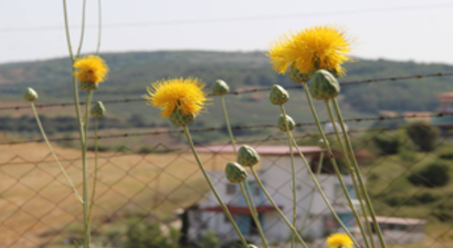 Kuşadası`nda Ekoturizm Kuruluyor