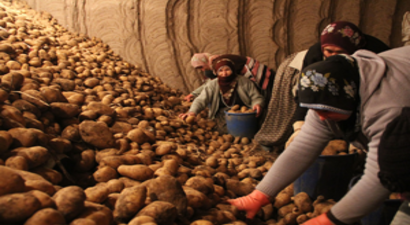 Bayraktar`dan ` Patates Tüketelim` Çağrısı