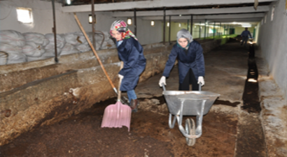 Bileziklerini Satıp Solucan Çiftliği Kurdular