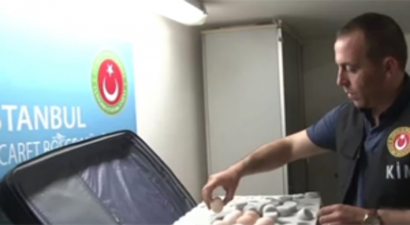Havalimanı`nda Ejderha Tavuğu Yumurtası Yakalandı