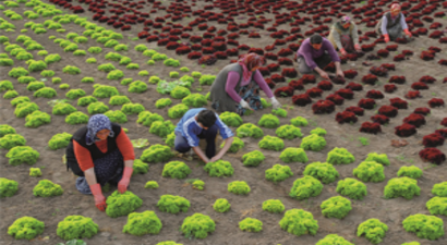Bayraktar, `Çiftçi Bu Ülkenin Temel Direğidir`
