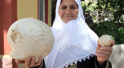 Evinin Bahçesinde Buldu, Mahalleli Gözlerine İnanamadı