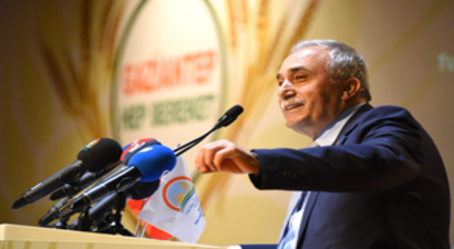 Fıstık Fiyatları Tavan Yapınca Fakıbaba`dan Öneri Geldi