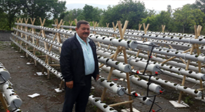 Su Borusunda Çilek Yetiştirmeye Başladı