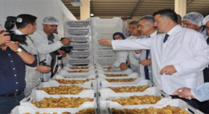Bakan Pakdemirli, Organik İncir İşletme Tesisini Gezdi
