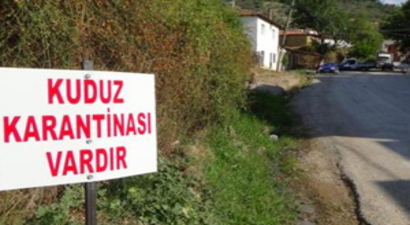 Bakanlıktan Kuduz Açıklaması!