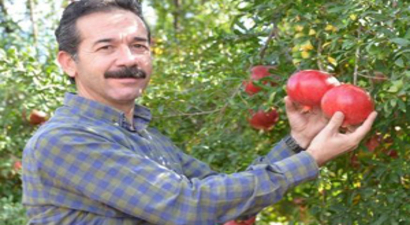 Nar Üreticisi Mutlu