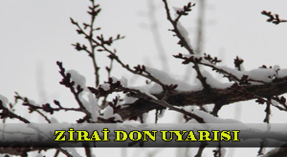 METEOROLOJİDEN UYARI! ZİRAİ DON TEHLİKESİ!