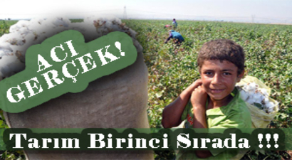 Tarım Sektörü Birinci Sırada!