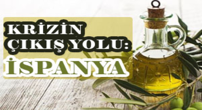 Krizin Çıkış Yolu: İspanya