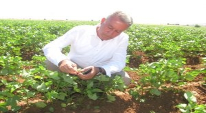 Araban Ovası`nda zararlılara karşı mücadele