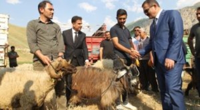 Hakkari`de 47 çiftçiye 987 küçükbaş hayvan dağıtıldı