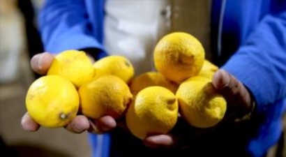 Limonlar çürüdü, fiyatlar arttı