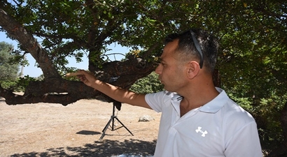 TARIMDA `SAKIZ` FIRSATI