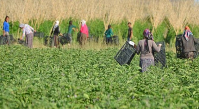Tarımsal Kalkınmada `KADIN`