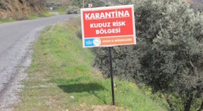Nazilli`de kuduz karantinası
