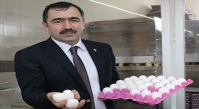 Yumurta üreticileri kesim desteği istiyor