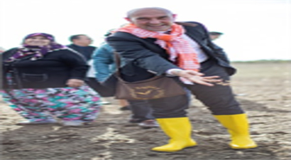 İzmir Ovalarında Karakılçık Bayramı