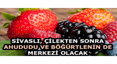 Sivaslı, Çilekten Sonra Ahududu ve Böğürtlenin De Merkezi Olacak