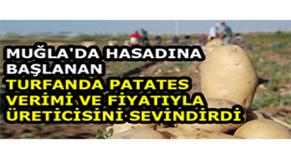 Muğla`da Hasadına Başlanan Turfanda Patates Verimi Ve Fiyatıyla Üreticisini Sevindirdi