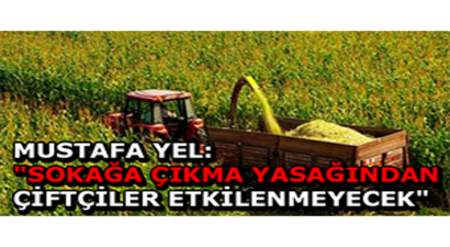 Mustafa Yel: `Sokağa Çıkma Yasağından Çiftçiler Etkilenmeyecek`