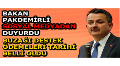 Bakan Pakdemirli Sosyal Medyadan Duyurdu Buzağı Destek Ödemeleri Tarihi Belli Oldu