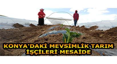 Konya`daki Mevsimlik Tarım İşçileri Mesaide