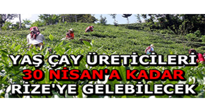 Yaş Çay Üreticileri 30 Nisan`a Kadar Rize`ye Gelebilecek