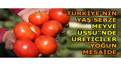 `Türkiye`nin Yaş Sebze Meyve Üssü`nde Üreticiler Yoğun Mesaide
