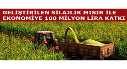 Geliştirilen Silajlık Mısır ile Ekonomiye 100 Milyon Lira Katkı