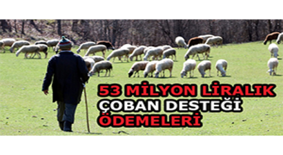 53 Milyon Liralık Çoban Desteği Ödemeleri