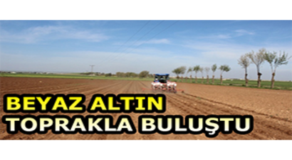 Beyaz Altın Toprakla Buluştu