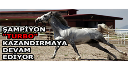 Şampiyon `Turbo` Kazandırmaya Devam Ediyor