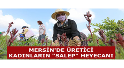 Mersin`de Üretici Kadınların `Salep` Heyecanı