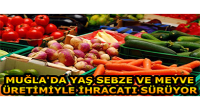 Muğla`da Yaş Sebze ve Meyve Üretimiyle İhracatı Sürüyor