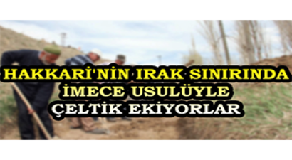 Hakkari`nin Irak Sınırında İmece Usulüyle Çeltik Ekiyorlar