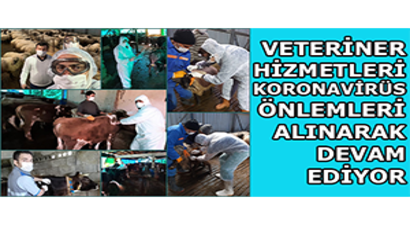 Veteriner Hizmetleri Koronavirüs Önlemleri Alınarak Devam Ediyor