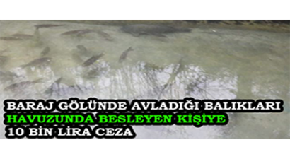 Baraj Gölünde Avladığı Balıkları Havuzunda Besleyen Kişiye 10 Bin Lira Ceza