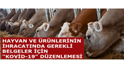 Hayvan ve Ürünlerinin İhracatında Gerekli Belgeler İçin `Kovid-19` Düzenlemesi