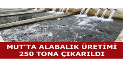 Mut`ta Alabalık Üretimi 250 Tona Çıkarıldı
